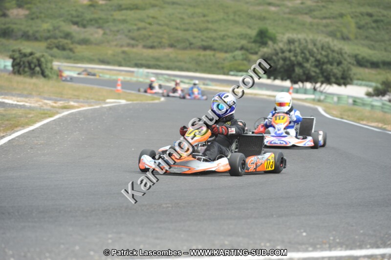 DSC (3450).JPG